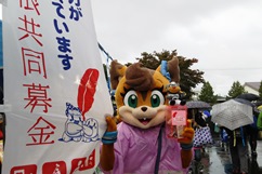 DSC_0656_242_161.jpg